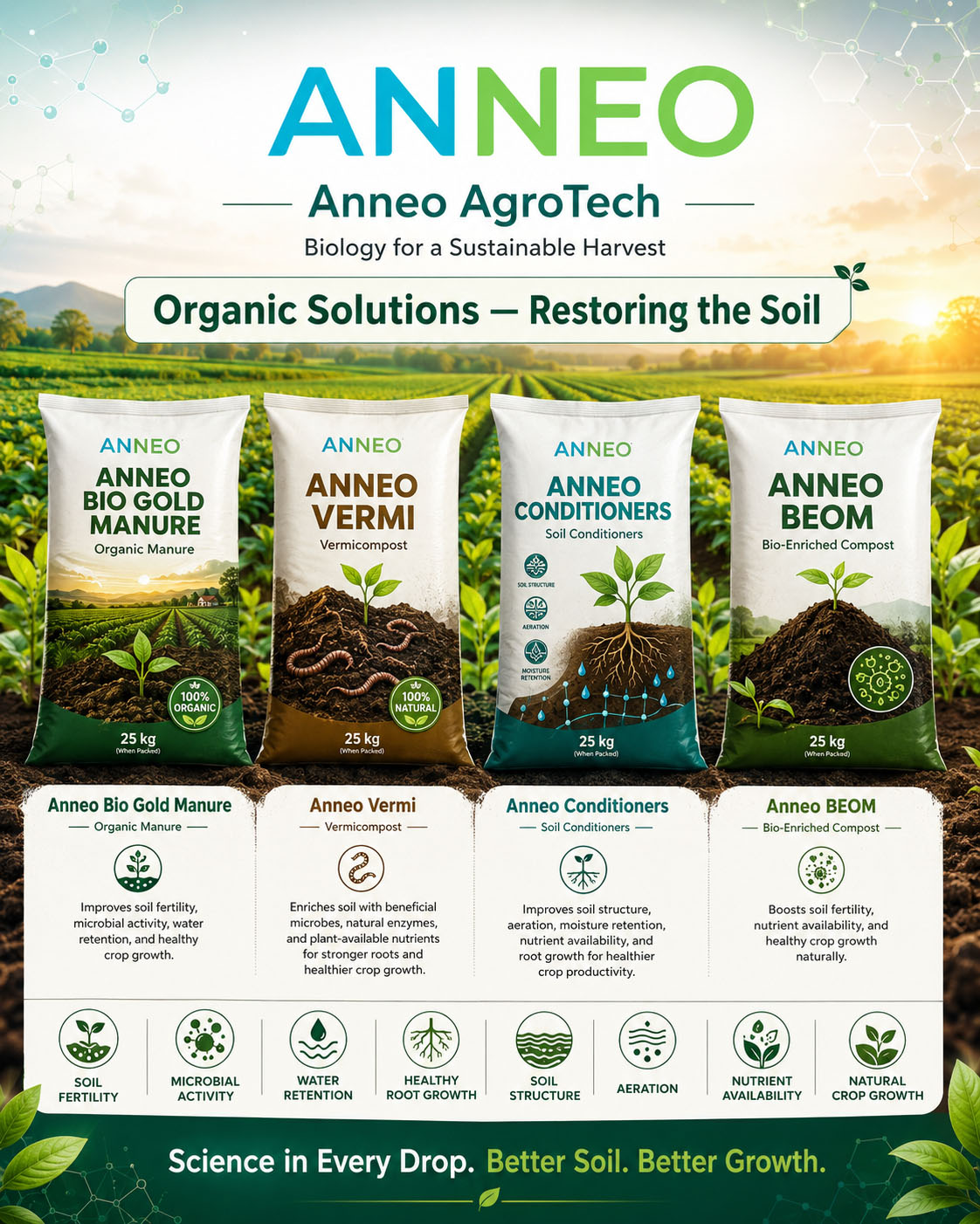 Organic solution filling line
